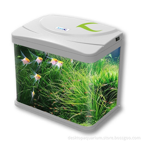 LED Desktop Aquarium